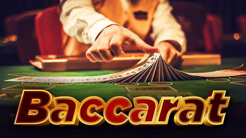 Các bước tham gia chơi Live Baccarat tại Suwin cho tân thủ