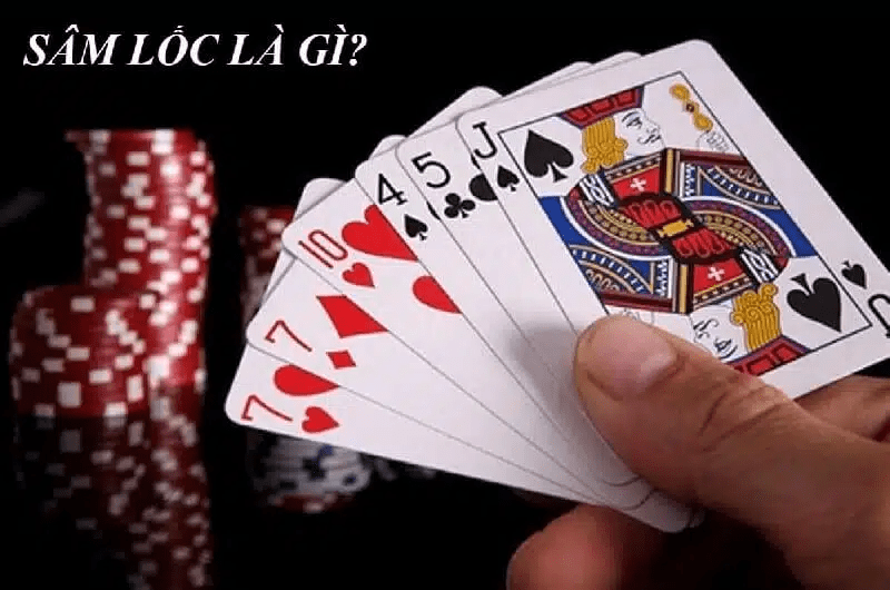 Đôi nét về Sâm là gì?